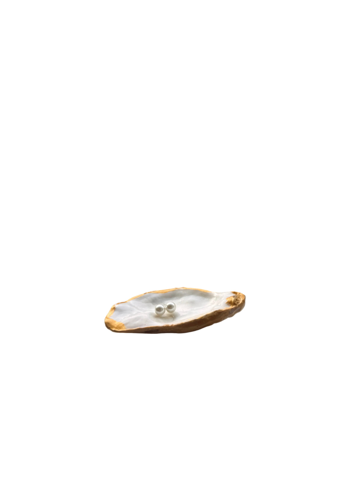 Oyster Shell Jewelry holder