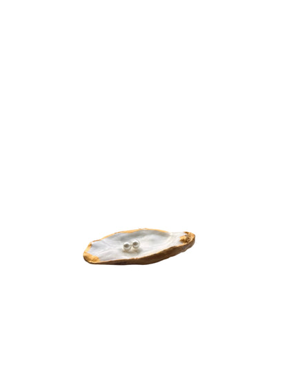 Oyster Shell Jewelry holder