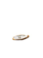 Oyster Shell Jewelry holder