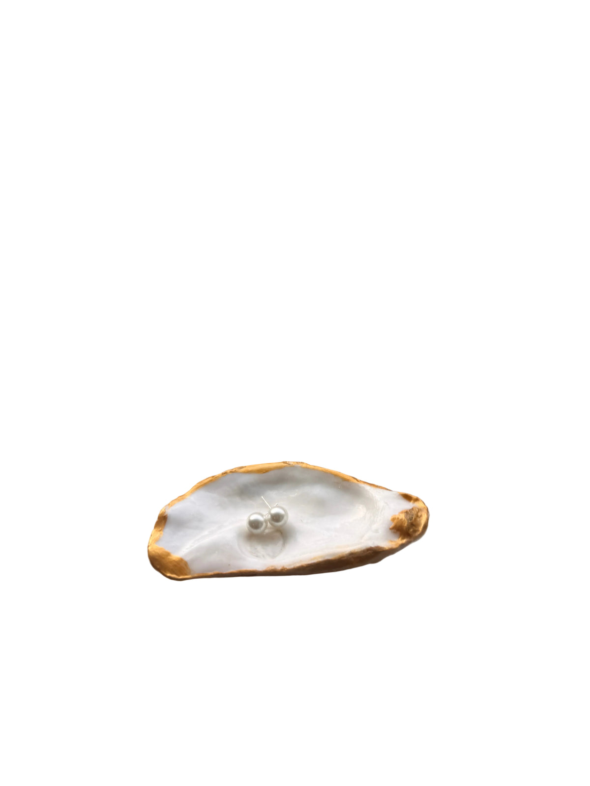Oyster Shell Jewelry holder