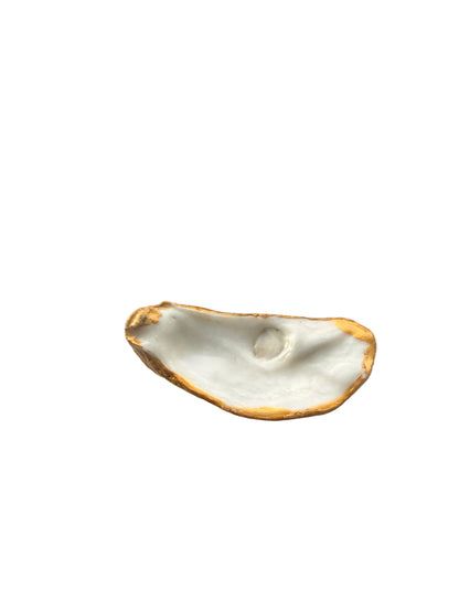 Oyster Shell Jewelry holder