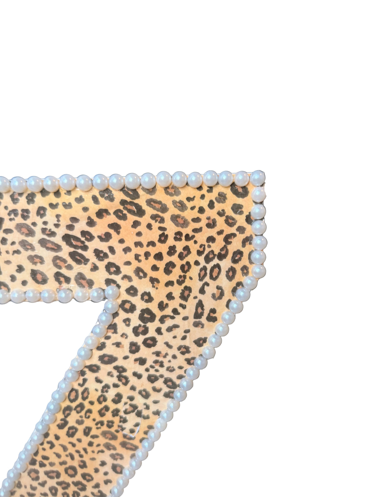 Leopard Print Z