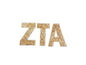 Leopard Print ZTA