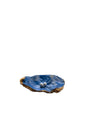 Oyster Jewelry Holder
