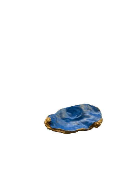 Oyster Jewelry Holder